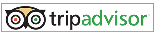 Trip Advisor